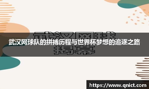 xc体育